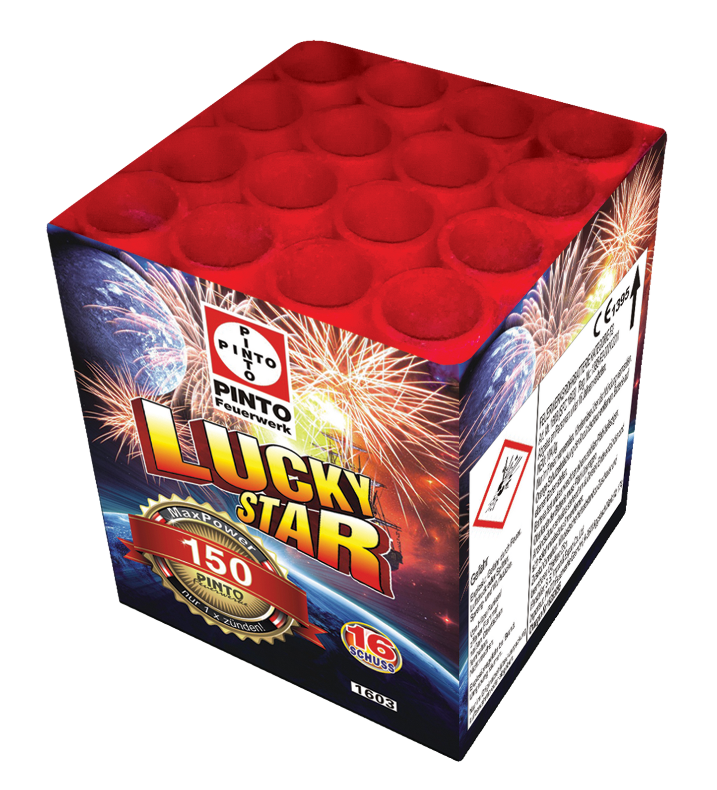 Pinto LUCKYSTAR (F2)