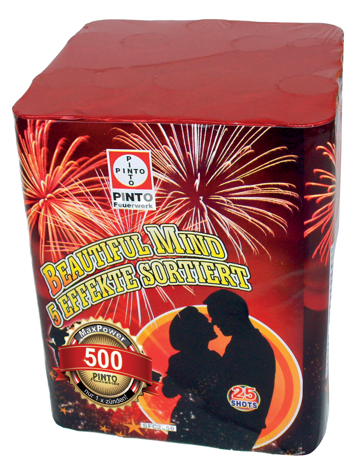 Pinto BEAUTIFUL MIND (F2)