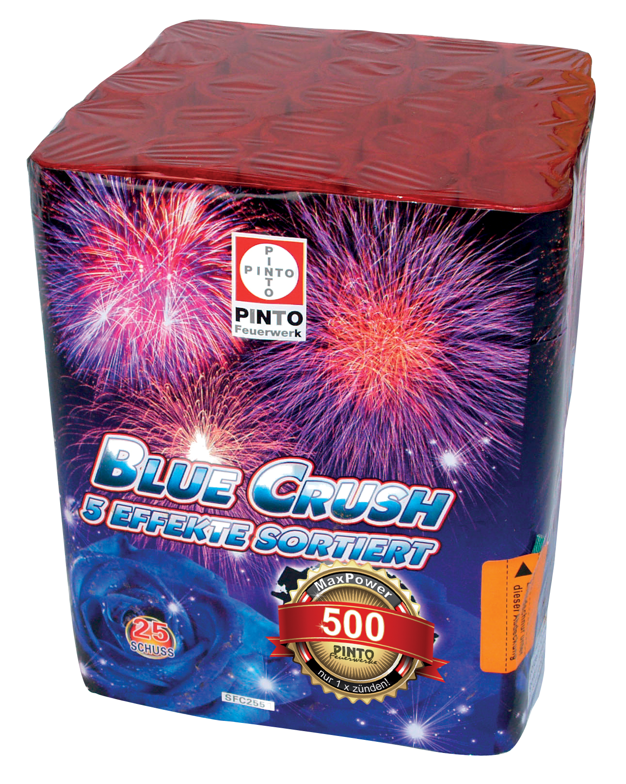 Pinto BLUE CRUSH (F2)