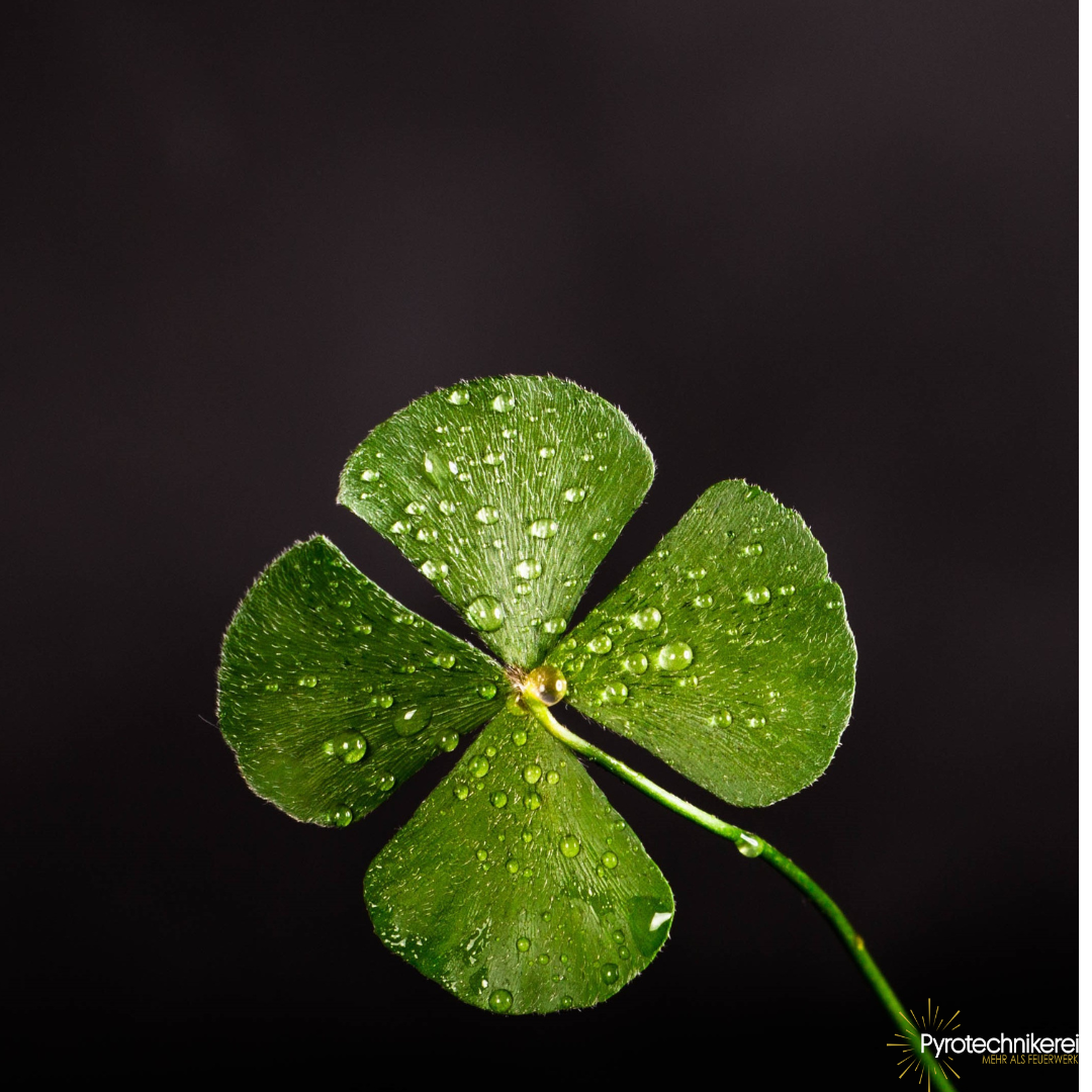 Glücksbringer - kleine Zeichen, große Wirkung