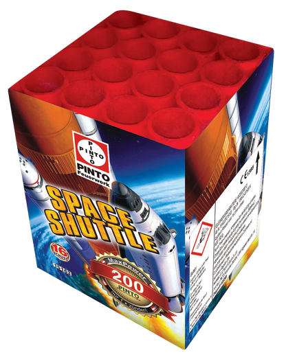 Pinto SPACE SHUTTLE (F2)