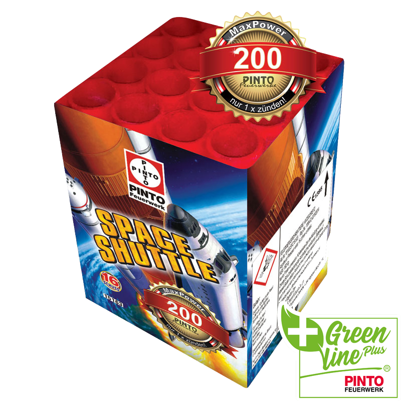 Pinto SPACE SHUTTLE (F2)