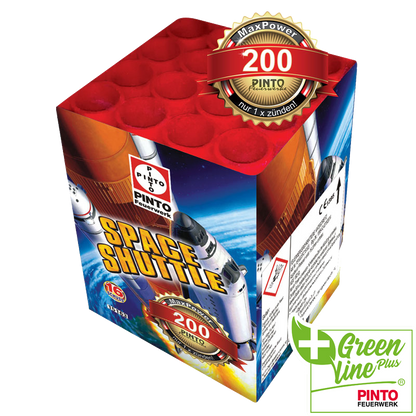 Pinto SPACE SHUTTLE (F2)