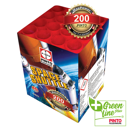 Pinto SPACE SHUTTLE (F2)