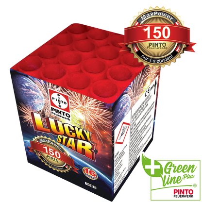 Pinto LUCKYSTAR (F2)