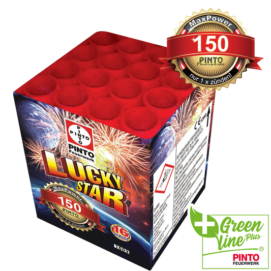 Pinto LUCKYSTAR (F2)