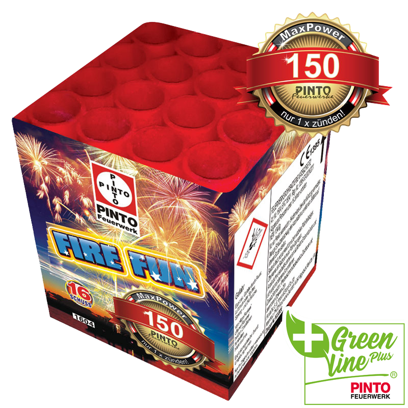 Pinto FIRE FUN (F2)