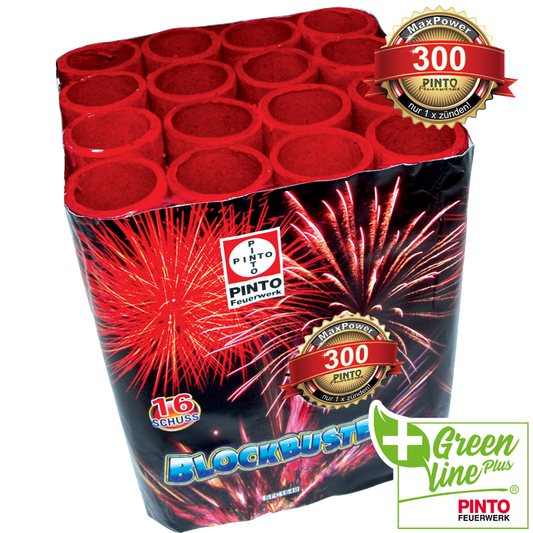 Pinto BLOCKBUSTER (F2)