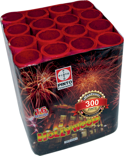 Pinto HOLLYWOOD (F2)