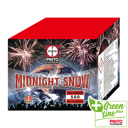 Pinto MIDNIGHT SNOW (F2)