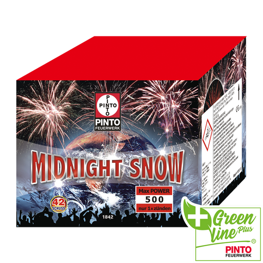 Pinto MIDNIGHT SNOW (F2)