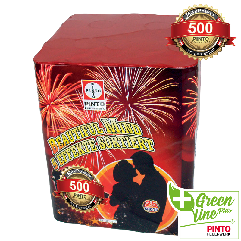 Pinto BEAUTIFUL MIND (F2)