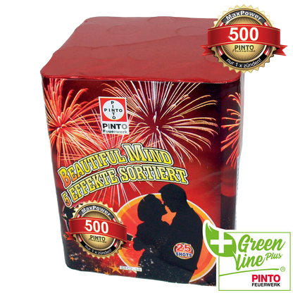 Pinto BEAUTIFUL MIND (F2)