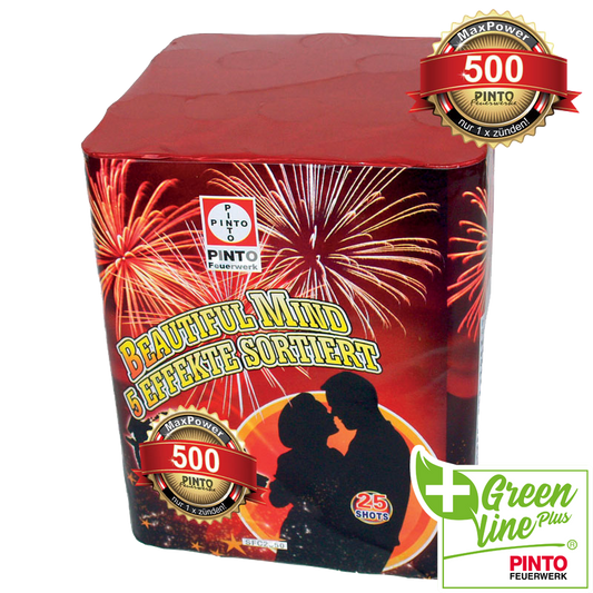 Pinto BEAUTIFUL MIND (F2)