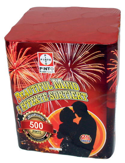 Pinto BEAUTIFUL MIND (F2)