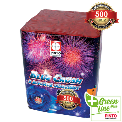 Pinto BLUE CRUSH (F2)