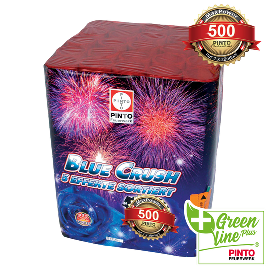 Pinto BLUE CRUSH (F2)