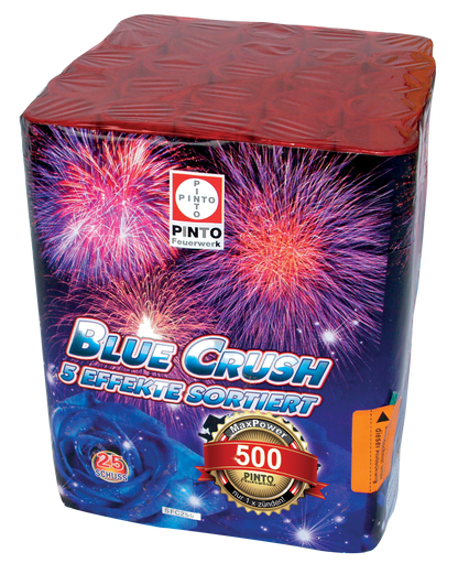 Pinto BLUE CRUSH (F2)