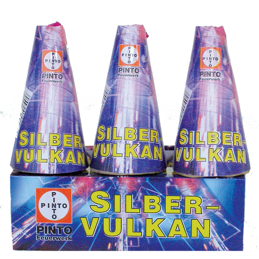 Pinto Silbervulkan (F2)