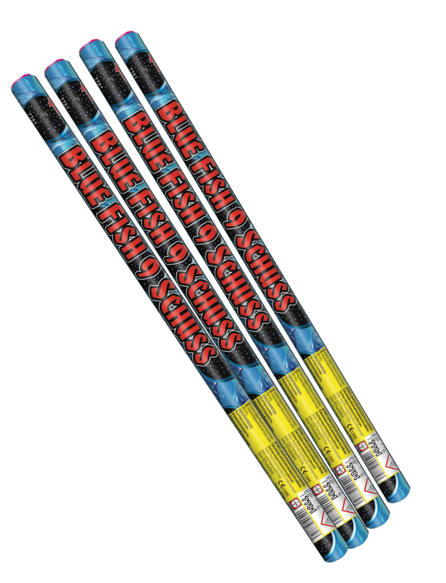 Pinto Blue Fish (F2)