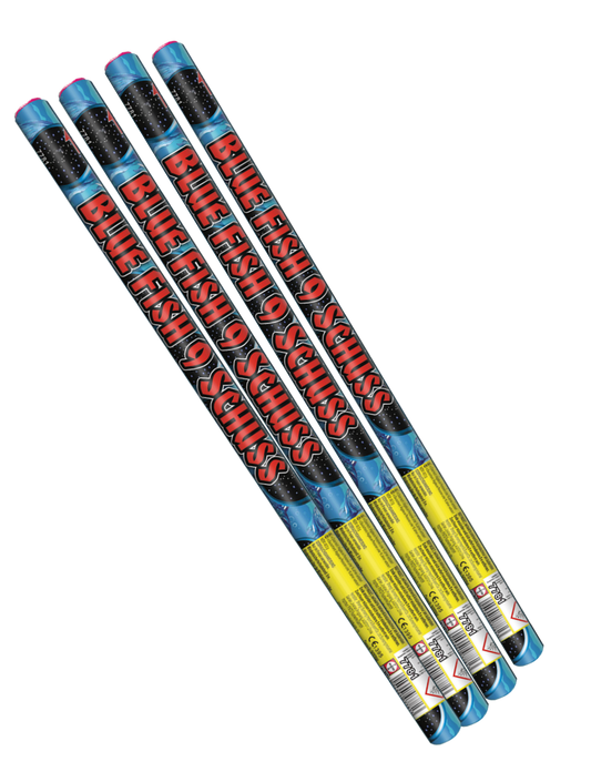 Pinto Blue Fish (F2)