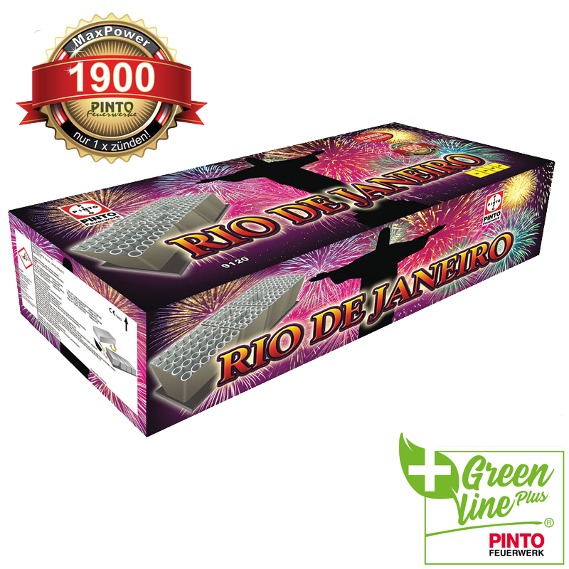 Pinto RIO DE JANEIRO (F2)