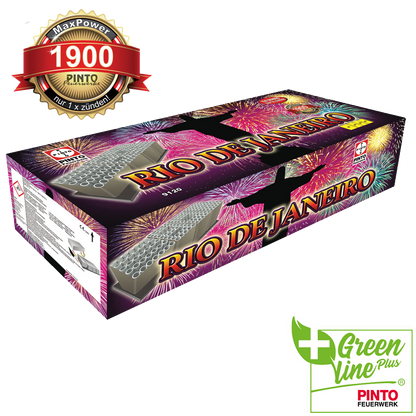 Pinto RIO DE JANEIRO (F2)