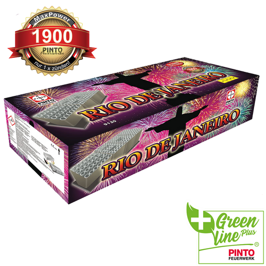 Pinto RIO DE JANEIRO (F2)