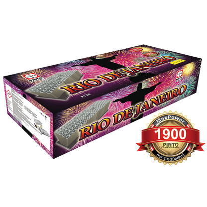 Pinto RIO DE JANEIRO (F2)