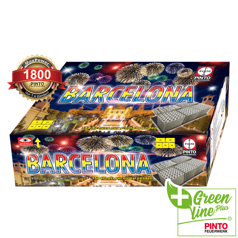 Pinto BARCELONA (F2)