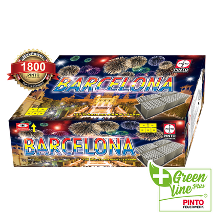 Pinto BARCELONA (F2)