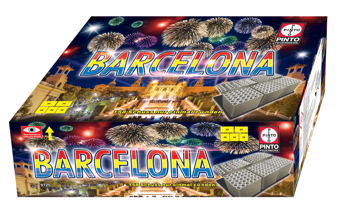 Pinto BARCELONA (F2)