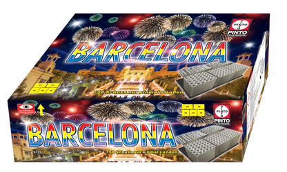 Pinto BARCELONA (F2)