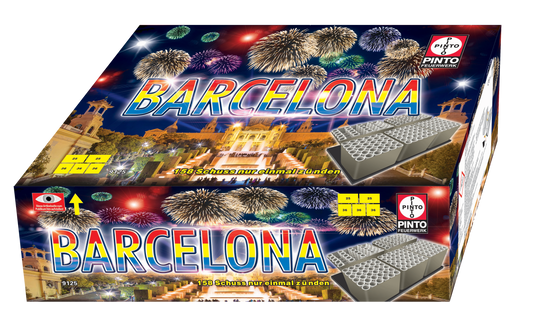 Pinto BARCELONA (F2)