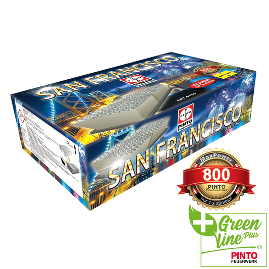 Pinto SAN FRANCISCO (F2)