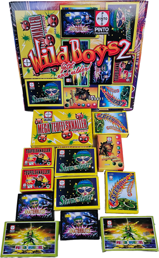 Pinto Wild Boys 2 (F1)