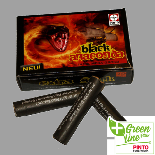 Pinto Black Anaconda (F2)